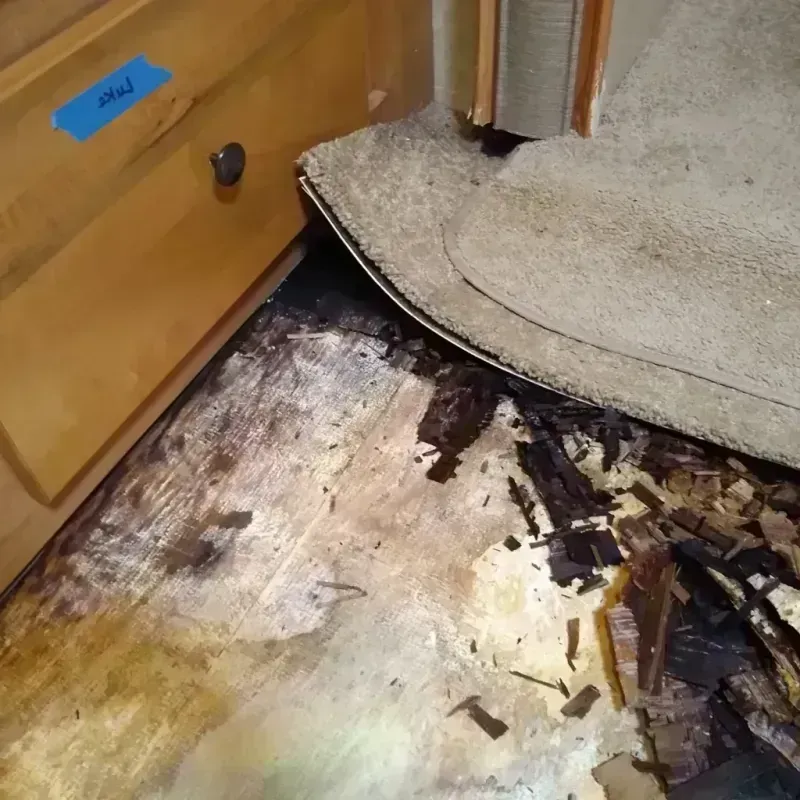 Wood Floor Water Damage in Fort Smith, AR